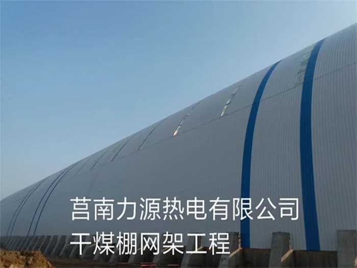 灌南力源热电有限公司干煤棚网架工程