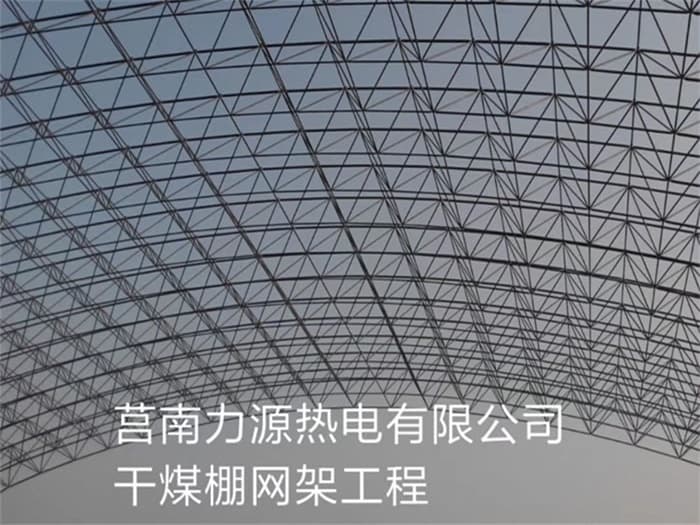 灌南力源热电有限公司干煤棚网架工程